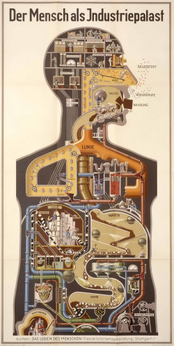 Плакат «Человек, как промышленная лаборатория» 1927