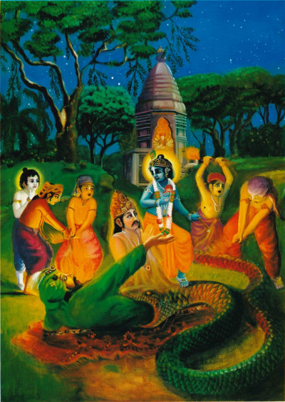 Тут на месте событий появился Кришна. Он коснулся змея Своими лотосоподобными стопами, и змей в тот же миг оставил тело и предстал в облике полубога Видьядхары.