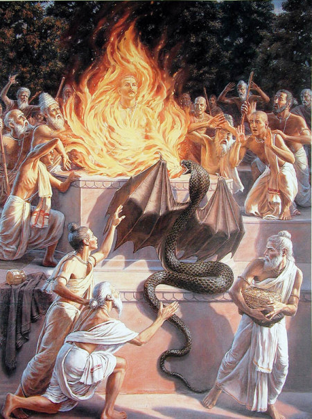 Змей Такшака сжигает Махараджу Парикшита