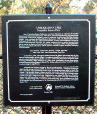 Памятная табличка возле дерева Харе Кришна в Нью-Йорке