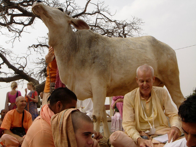 Mahanidhi Swami at Vraja Parikrama 2009