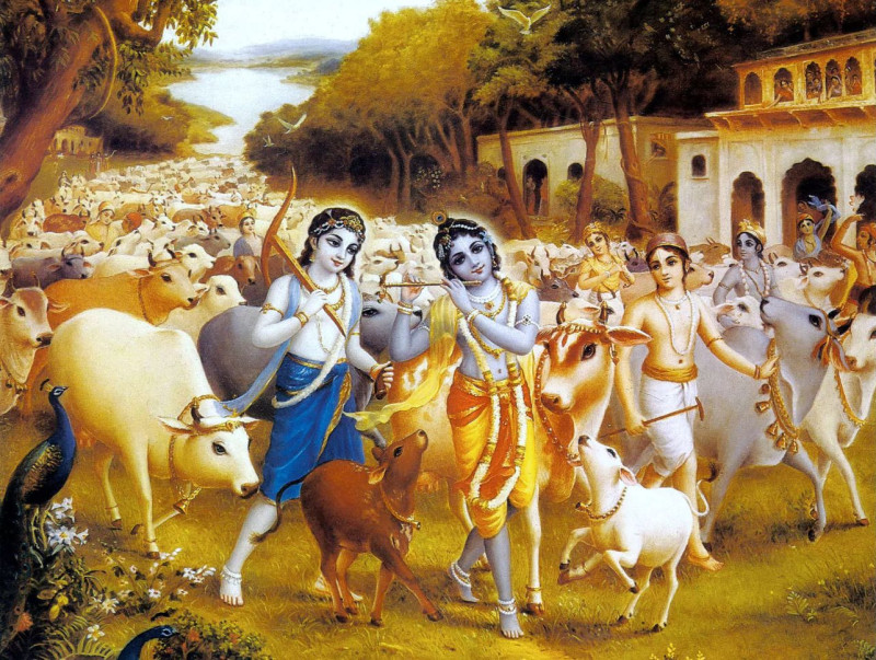 Krishna and Balarama play as cow herds boys in Vrindavan
