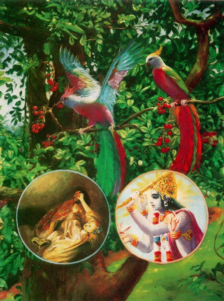 Душу и Сверхдушу сравнивают с двумя птицами, сидящими на одном дереве