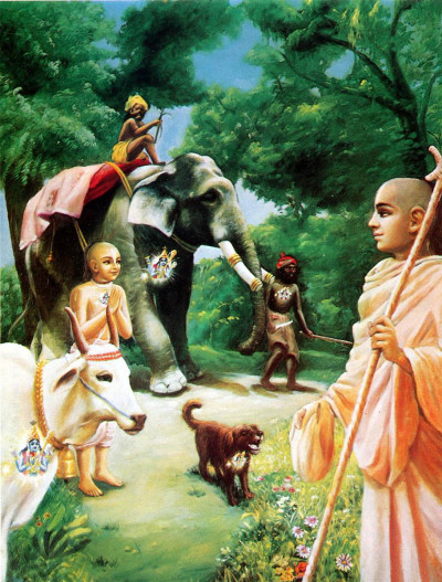 Смиренные мудрецы, одинаково смотрят на брахмана, корову, слона, собаку и собакоеда