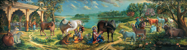 Кришна и Баларама доят коров во Вриндаване