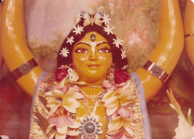 Божество Махапрабху из Панча-Таттвы. Храм ИСККОН в Гонолулу, Гавайи