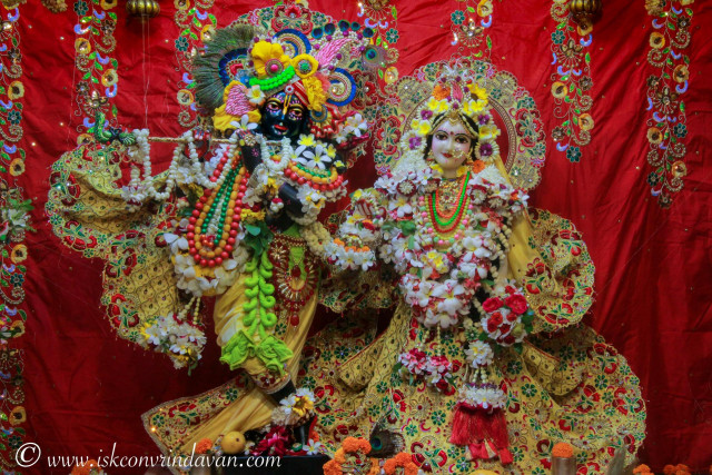 Шри Шри Радха-Шьямасундара из Shri Shri Krishna Balaram Mandir