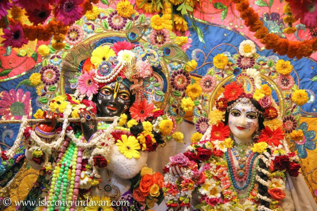 Божества Шри Шри Радха Кришна во Вриндаване. 2015, февраль