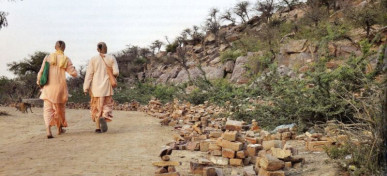Преданные кришнаиты идут по пыльной дороге Вриндавана
