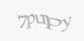Защитный код