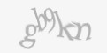 Защитный код