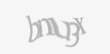 Защитный код