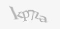 Защитный код