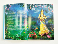 Шри Гуру-даршана. Том 1