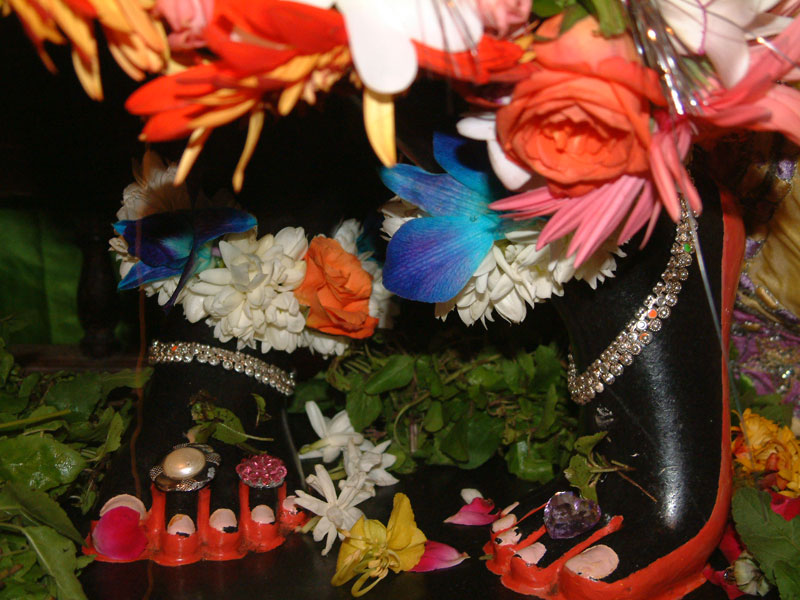 lotus feet01