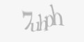 Защитный код