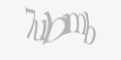 Защитный код