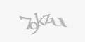 Защитный код