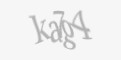 Защитный код