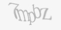Защитный код