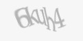 Защитный код