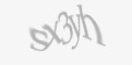 Защитный код