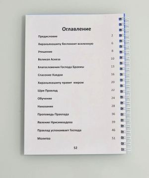 Намасте Нарасимхайа. История о спасении преданного.