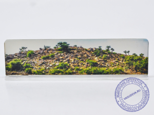 Изображение "Говардхан" в пластике