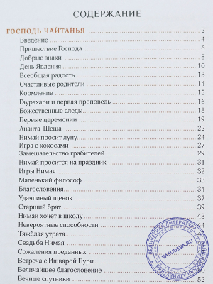 Прекрасная Панча-Таттва