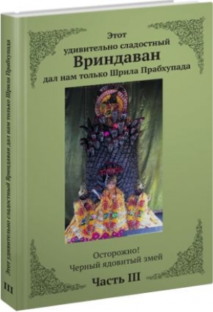 Бхакти Гамья деви даси - Этот удивительно сладостный Вриндаван дал нам только Шрила Прабхупада: Кн. 3