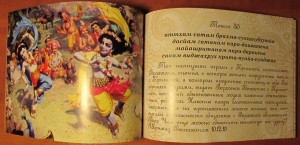 Шри Бхакти-расаяна