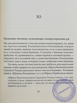 Бхуриджан дас - Джапа