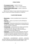 Бхакти-йога: схемы и числа
