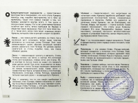 Магнитная игра "Божественные знаки"