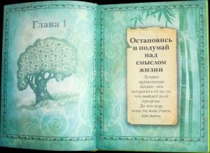 Вдохновляющие истории в пересказе Дхирашанта даса Госвами. Мудрость, реальность, иллюзия...