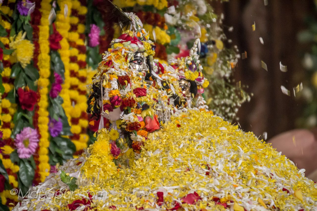 2014 Beautiful Pushpa Abhishek in Mayapur