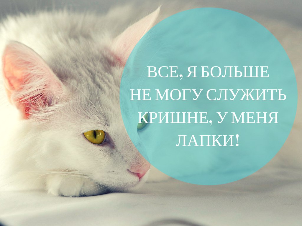 О падении преданных. Что делать если вы упали, и нет сил служить дальше