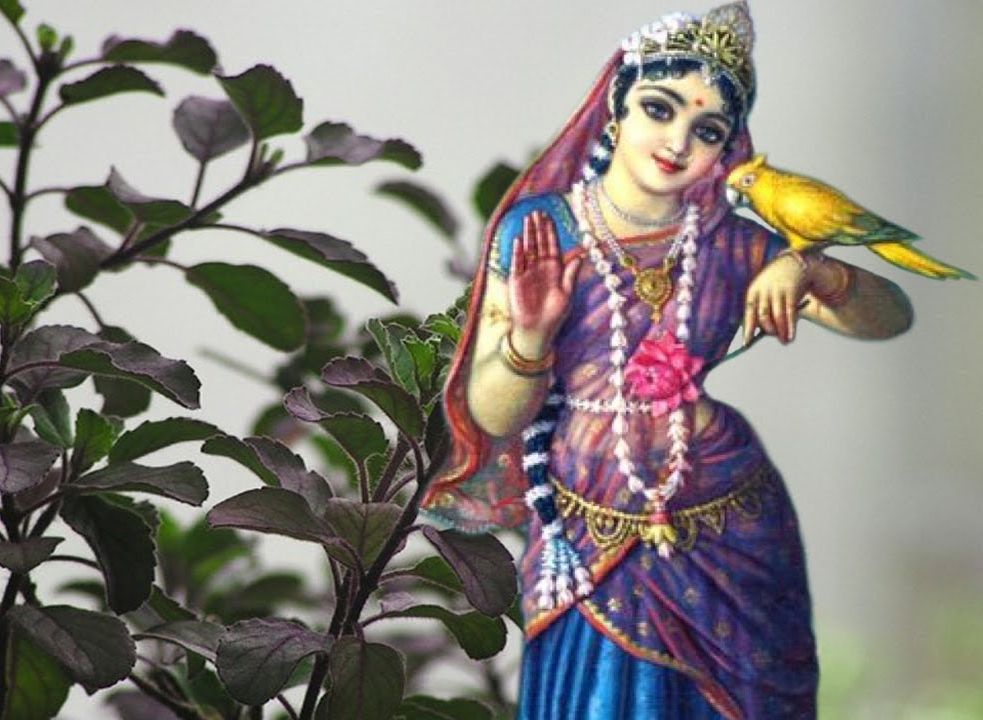 Tulsi Devi 1