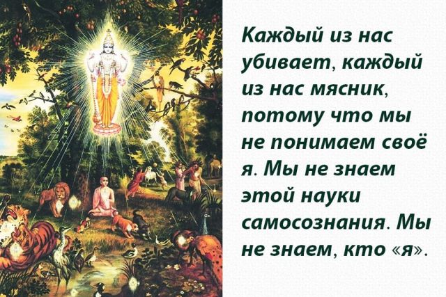 Шрила Прабхупада - Человек убивает животное, но прежде всего он убивает самого себя