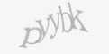 Защитный код