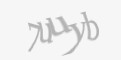 Защитный код