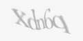 Защитный код