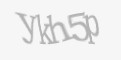 Защитный код