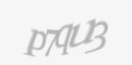 Защитный код