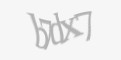 Защитный код