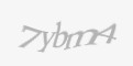 Защитный код