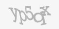 Защитный код