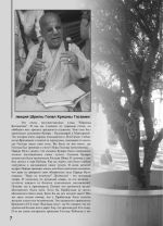 "Лава-матра". №13